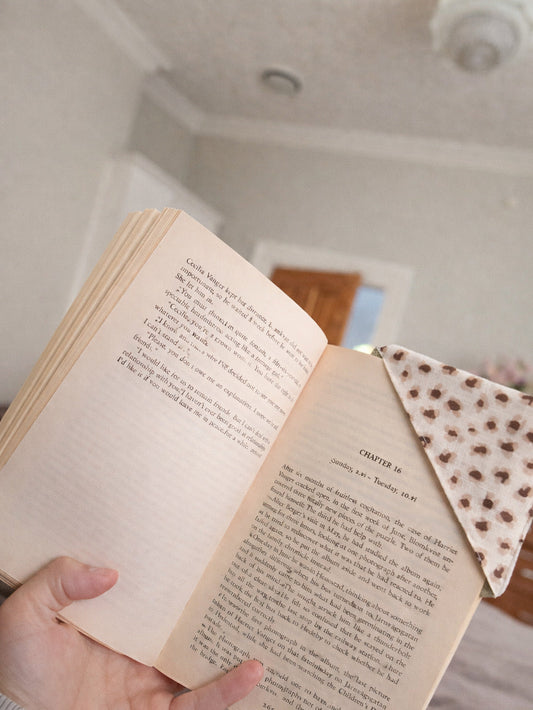 Quiet Companions for Every Chapter
